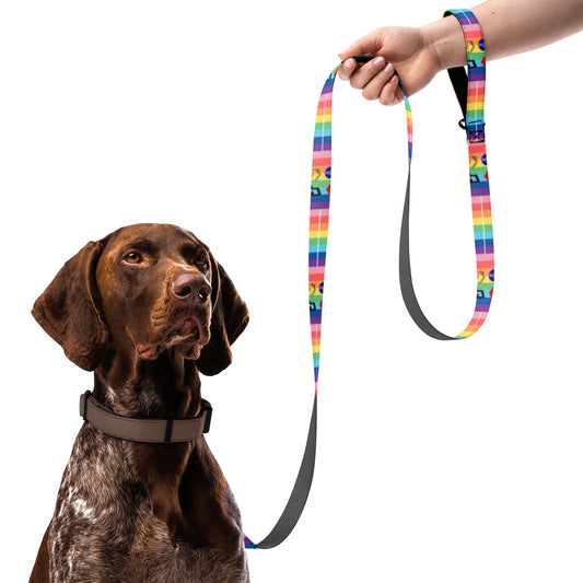 TN Love House Pride Pet leash