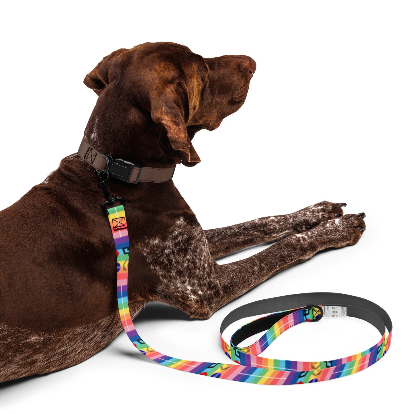 TN Love House Pride Pet leash